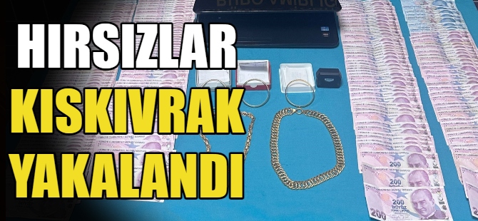 Hırsızlar kıskıvrak yakalandı