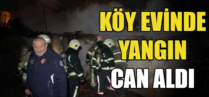 Köy evinde yangın can aldı