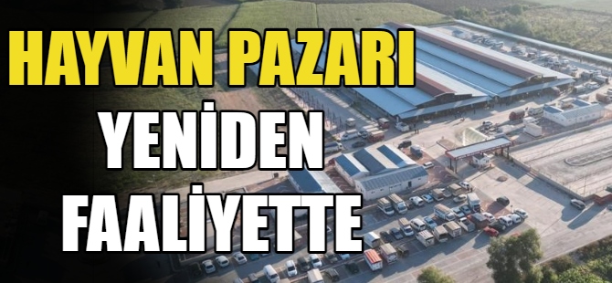 Hayvan Pazarı yeniden faaliyette