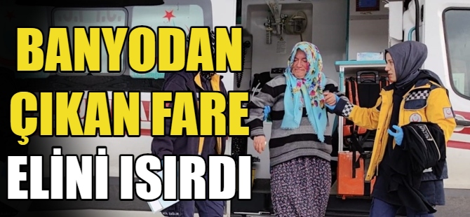 Banyodan çıkan fare elini ısırdı