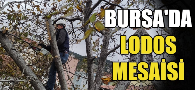 Bursa'da lodos mesaisi