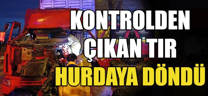 Kontrolden çıkan tır ağaca çarptı