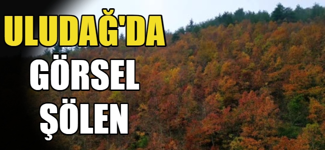 Uludağ'da görsel şölen