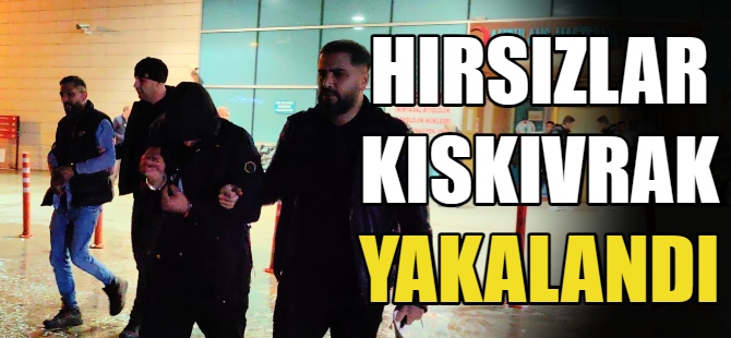 Hırsızlar kıskıvrak yakalandı