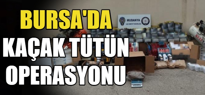 Bursa'da kaçak tütün operasyonu