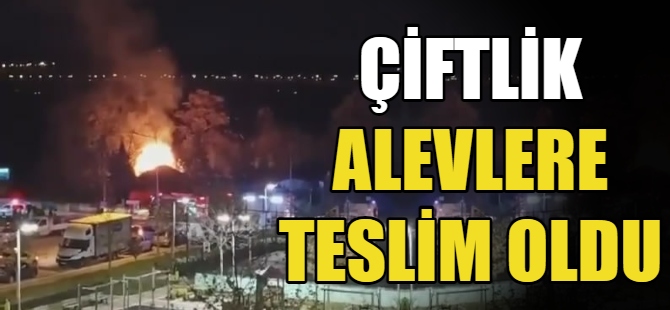 Çiftlik alevlere teslim oldu