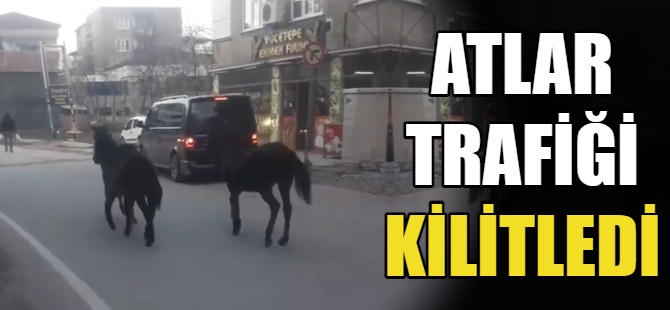 Başıboş atlar trafiği kilitledi