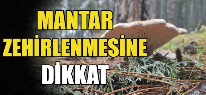 Mantar zehirlenmesine dikkat