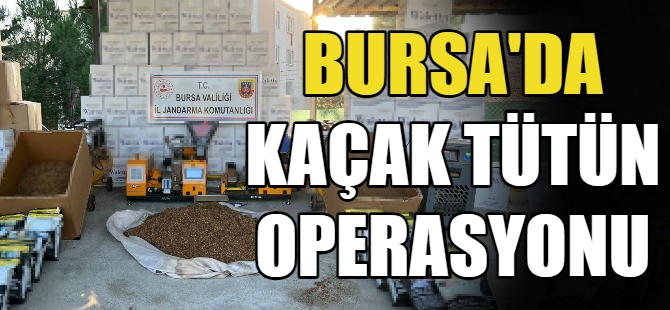 Bursa'da kaçak tütün operasyonu