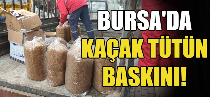 Bursa'da kaçak tütün baskını