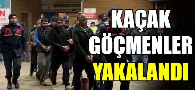 Kaçak göçmenler yakalandı