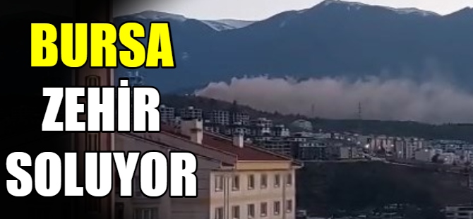 Bursa Çimento'dan gri dumanlar yükseliyor