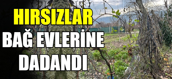 Hırsızlar bağ evlerine dadandı