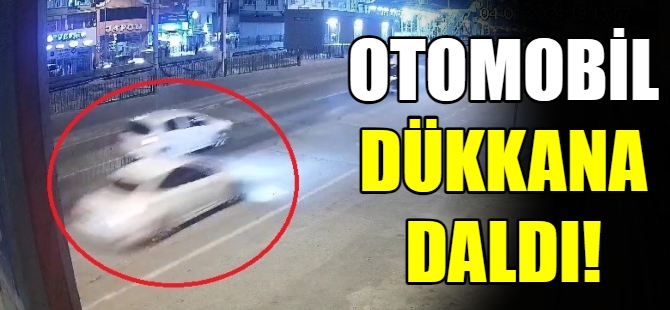 Otomobil dükkana daldı