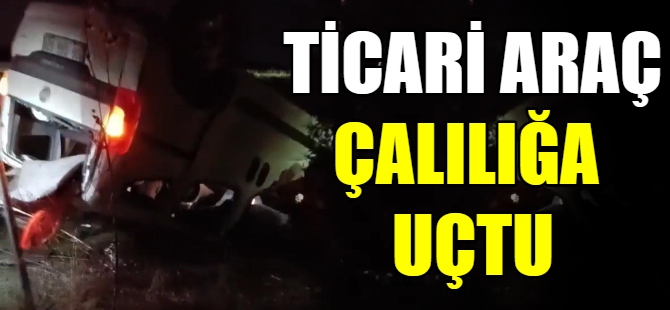 Ticari araç çalılığa uçtu