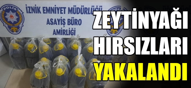 Zeytinyağı hırsızları yakalandı