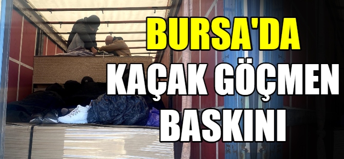 Kaçak göçmenler yakalandı