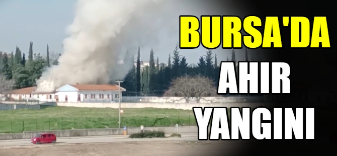 Bursa'da ahır yangını