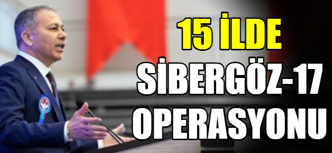 15 İlde Sibergöz-17 operasyonu