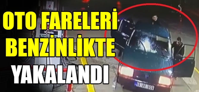 Oto hırsızları kıskıvrak yakalandı