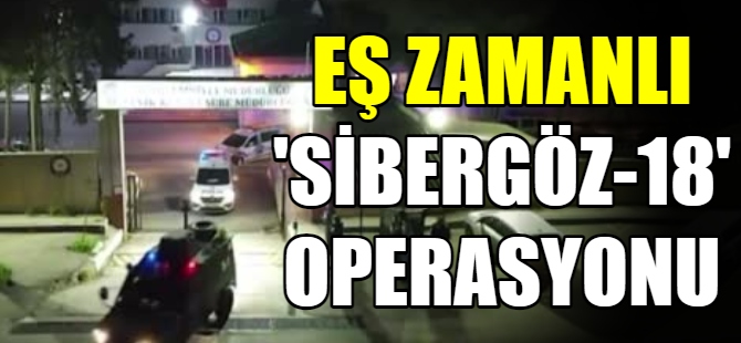 9 İlde "Sibergöz-18" operasyonu