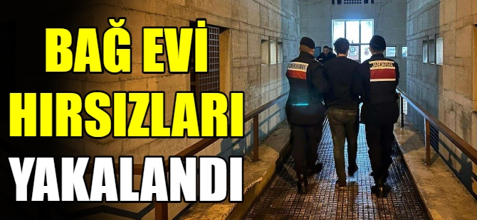 Bağ evi hırsızları yakalandı