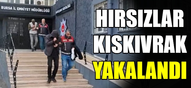 Hırsız kardeşler yakalandı