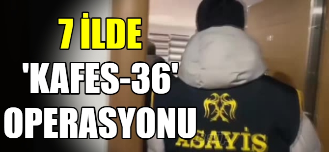 7 İlde 'Kafes-36' Operasyonu