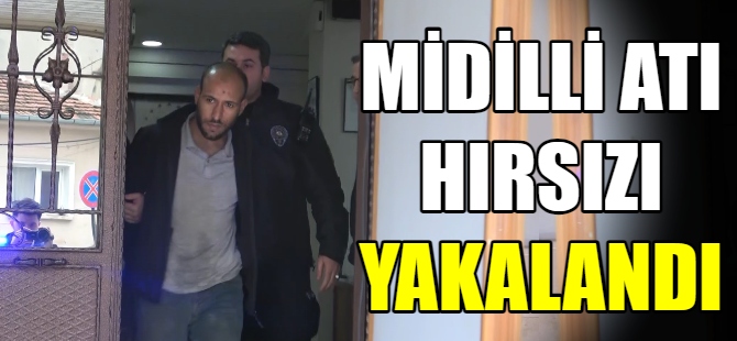 Midilli hırsızı yakalandı