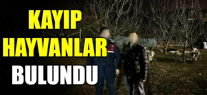 Kaybolan hayvanları jandarma buldu