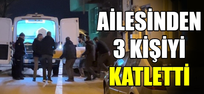 Cinnet getirdi, ailesini katletti