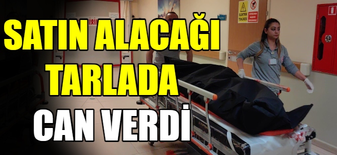 Satın almak istediği tarlada can verdi