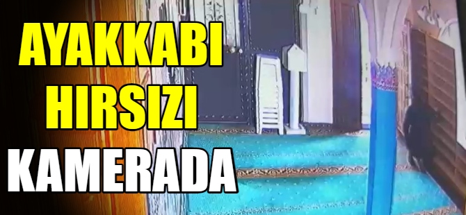 Ayakkabı hırsızı yakalandı