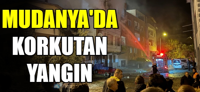 Mudanya'da korkutan yangın