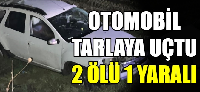 Otomobil tarlaya uçtu