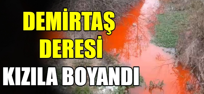 Demirtaş Deresi kızıla boyandı