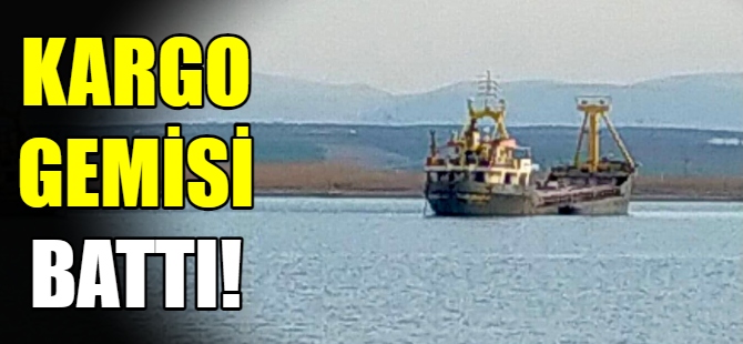 Kargo gemisi battı