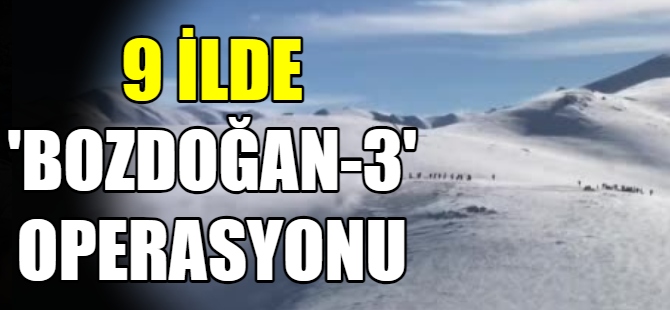 9 ilde 'Bozdoğan-3' operasyonu