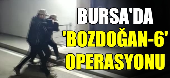 Eş zamanlı 'BOZDOĞAN-6' operasyonu