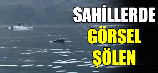 Sahillerde görsel şölen