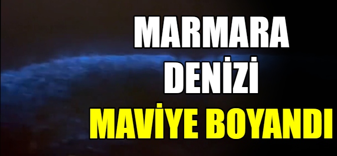 Marmara Denizi maviye boyandı