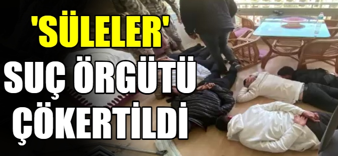 'Süleler' suç örgütü çökertildi