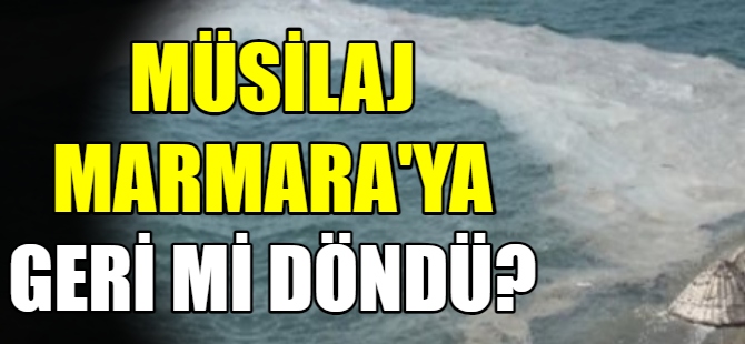 Müsilaj Marmara’ya geri mi döndü?