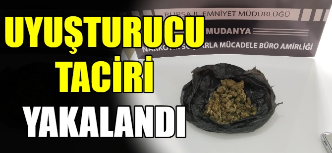 Uyuşturucu taciri yakalandı