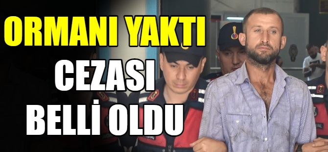 Ormanı yakan sanığa 8 yıl hapis