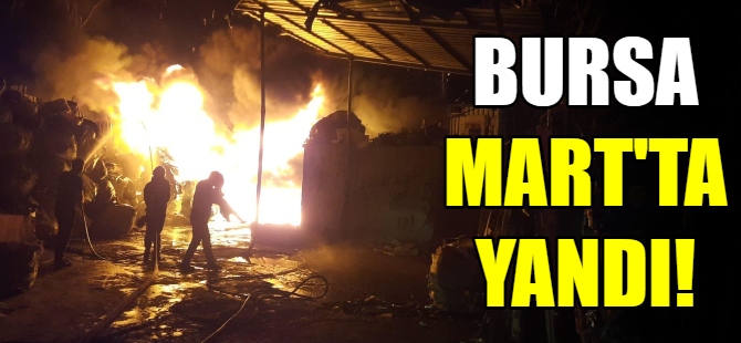 Bursa Mart ayında yandı
