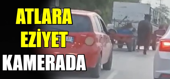 Bursa'da atlara eziyet kamerada