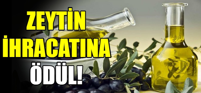 Zeytin zeytinyağı ihracatında rekor