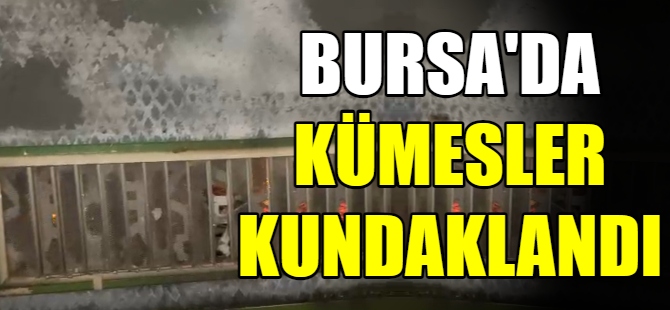 Bursa’da kümesler kundaklandı