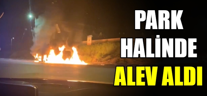 Park halindeki araç alev alev yandı